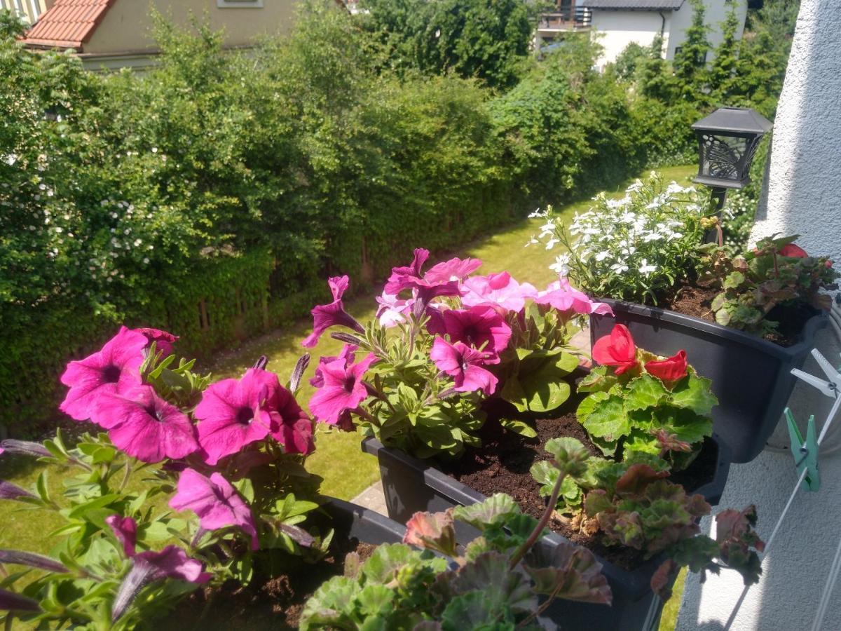 Apartament Olivia Centrum Z Zamknietym Parkingiem Gdansk Luaran gambar